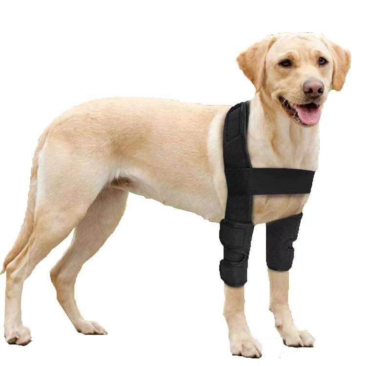 Protetor de Joelho para Cães Ajustável de Estoque Cobertura Protetora para Lesões Cirúrgicas de Animais de Estimação Joelheira de Compressão para Recuperação de Cães