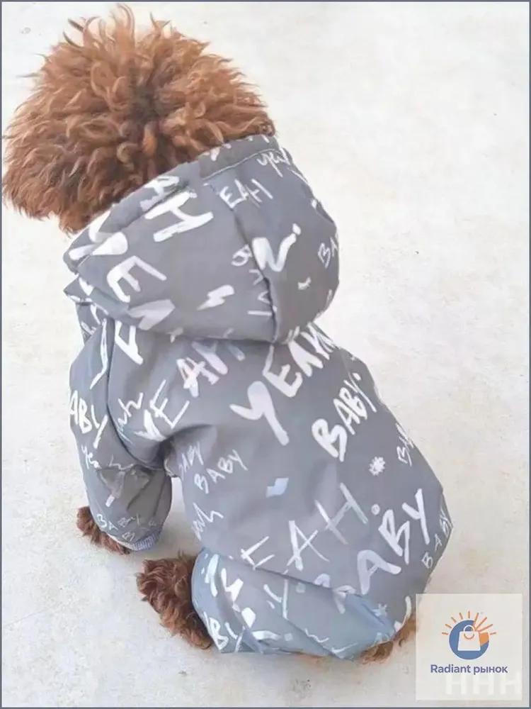 Reflective jumpsuit for pets and small dogs, exclusive, for night walks -Quality guarantee