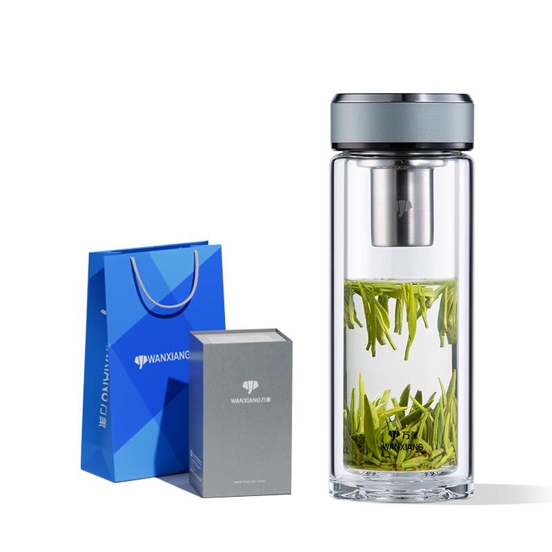 Portable Double-Wall Glass Tea Infuser Bottle
