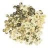 2000Pcs Belly Dance Coins Exquisite Sequins Pendants Clothing Accessories for DIY Costume Waist
