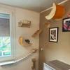 Wall Mounted Cat Tree Sisal Scratching Post Wooden Cat Climbing Shelves  Pedal Hammock Indoor Kitten Playground Cats Accessories