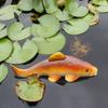 Pești și animale marine – Decorul acvariului