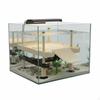 Zwemmende Schildpad Zonnebaadplatform Past Zich Automatisch aan Waterniveau Aan Oprit met Zuignappen Materiaal voor