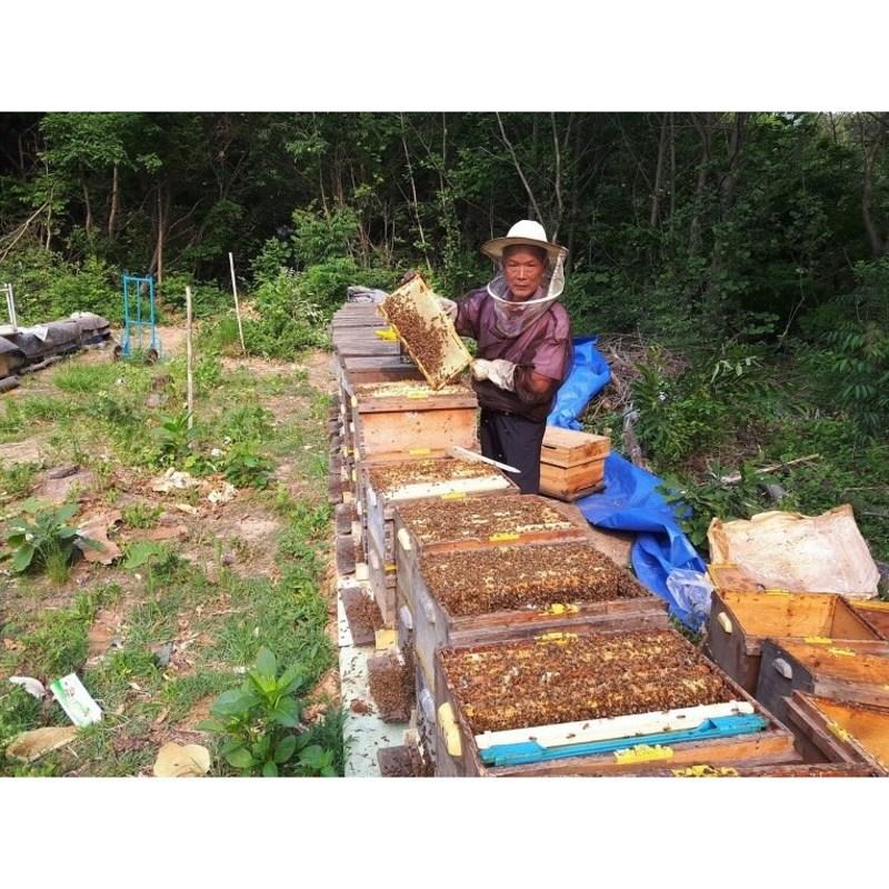 Hampyeong Clean Honey Domestic Pure Natural Nectar Honey 2.4kg Aged Honey Quality Assurance Health Gift