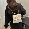 Schoolbag Foreign Style Personality Simple Fashion Backpack Autumn and Winter New Bag 1011 Trend Casual Women Niche Backpack