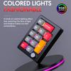 13 Key Wired Macro Programmable Mini Gaming Keyboard Fully Hot Swappable Programming KeyPad 12 RGB Lighting Effects with Knobs