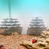 Multi Tiers Corner Shelter for Shrimp Breeding and Hidings 3D Printing Habitats Resting Place for Aquariums Enthusiasts
