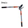 Zhenglu Extendable Branch Lopper