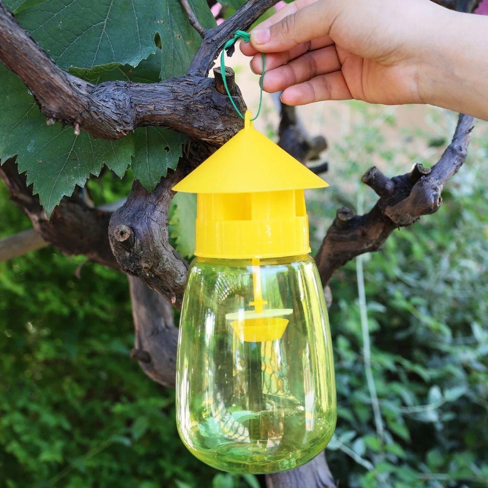 Reusable Fruit Fly Trap Plastic Environmentally Insect Fly Catcher Transparent Universal Hanging Fly Catcher