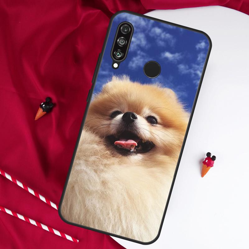 

Pomeranian Dogs Dog Colorful For Huawei Nova 11 Pro 9 10 SE Y60 Y70 Y90 Y61 Y91 Y73 Y72 12i 11i 8i P20 P30 P40 Lite Case Huawei Nova 10