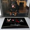 Vampir Fantasy Film T-Twilight Fußmatte Günstiger Rutschfest Modern Wohnzimmer Balkon Bedruckte Nachttischmatten