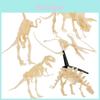 Educational And Fun Plastic Dinosaur Skeleton Model Set For Creative Kids Playtime