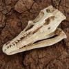 Frog Skeleton Ornament, Outdoor Patio Desktop Decor, Resin Carved Realistic Bone Texture Halloween Figure