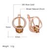 Shiny Brown Natural Zircon English Earrings For Women Luxury  Rose Gold Color Party Accessories Daily Fine Jewelry