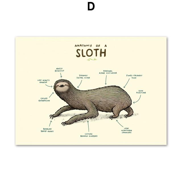Flamingo Fox Sloth Sheep Animal Anatomy Wall Art Canvas Painting Nordic Posters And Prints Wall Pictures For Living Room Decor No Frame