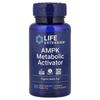AMPK Metabolic Activator, 30 Vegetarian Tablets