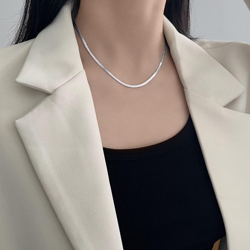 Titanium Steel Snake Bone Necklace - Women's Simple Luxury Clavicle Chain, European & American Versatile Style.