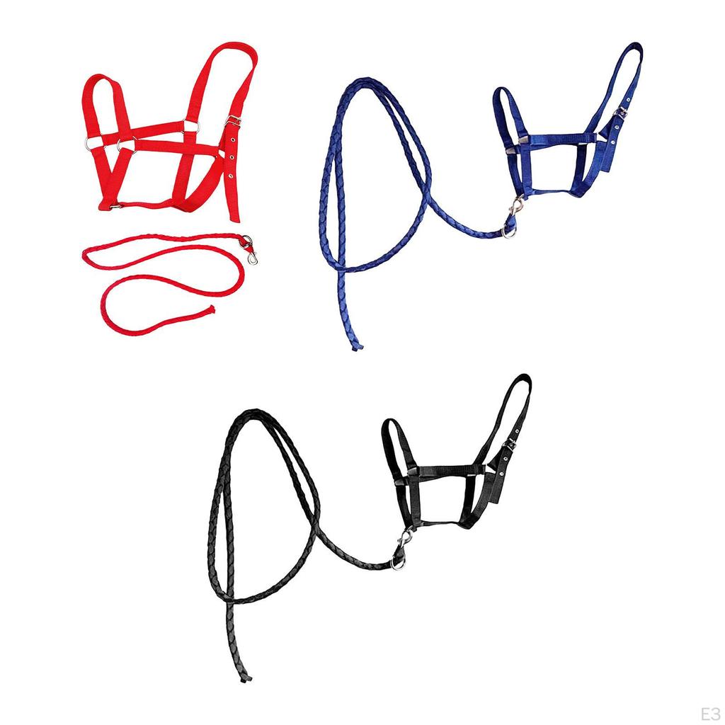 Halter Rope with Reins, Horse Harness, Bridle, Equestrian Equipment for Owners And Racetrack