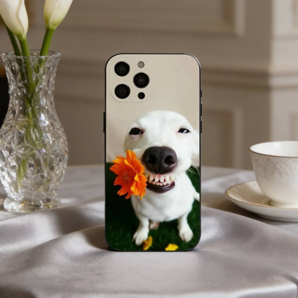 F-Funny A-Animal D-Dog-G Phone Case For iPhone 17,16,15,14,13,12,11 Plus,Pro Max,XS,Soft Silicone Black Cover