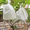 Biodegradable Grape Protection Bags: Rainproof, Insect-Proof, Bird-Proof, and Breathable