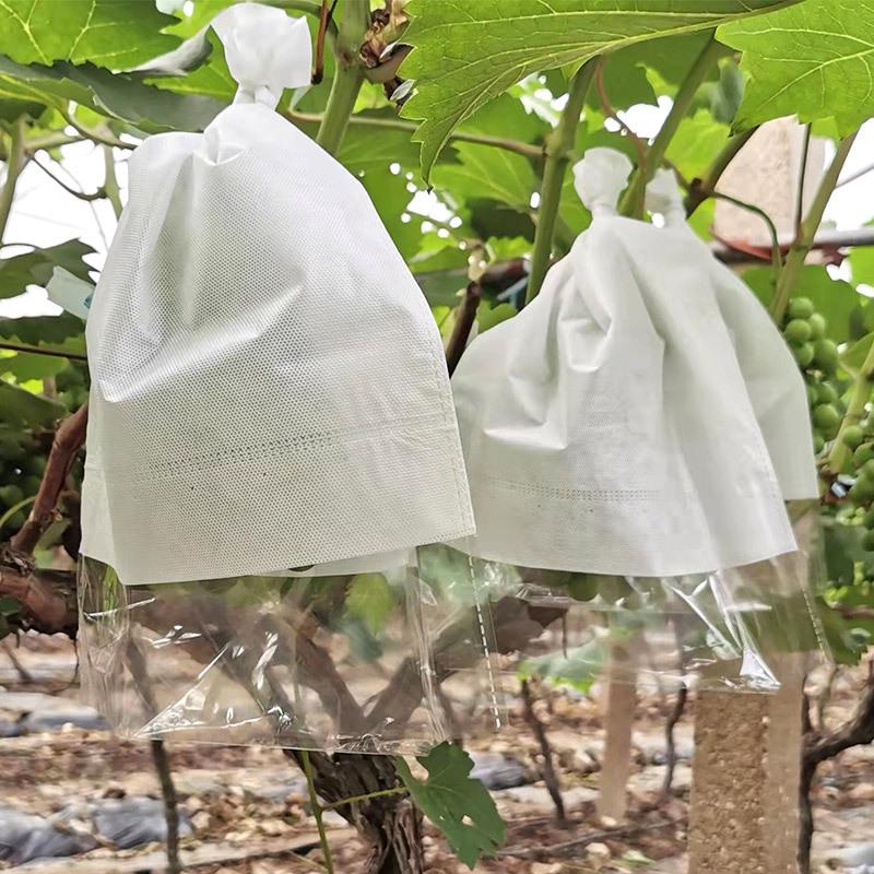 Biodegradable Grape Protection Bags: Rainproof, Insect-Proof, Bird-Proof, and Breathable