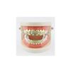 Electroplate Hip Hop False Teeth Set Reusable Unfading Halloween Festival Teeth Decoration Brace