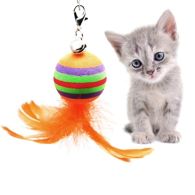 Feathered Replacements Cats and Kittens Fun Exercise Entertainment