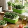 2Pcs Plastic Germination Tray Double Layer Hydroponic Planting Tray  Indoor Outdoor