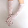 Mesh Rock Gloves Lace Sunscreen Gloves Sexy Long  Black Gloves  Halloween
