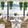 1pc Artificial Plant Hanging Green Simulation Plastic Vine Home Decor Window Wall Hanger Birthday Wedding Ornement Party Supply
