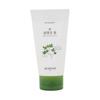 Veggie Garden Mugwort Cleansing Foam 150ml
