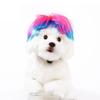 Adorable Pink Blue Shaggy Pet Wig For Halloween Festivities And Costume Parties