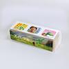 Beverly Disney Stamps Arlo and the Good Dinosaur Reward Stamp Light SD3-001
