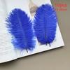 10pcs Feathers Ostrich 15-20cm Royal Blue Black White Pink Trim For Sewing Clothes Fabric Outfit Plumas Crafts Mixed Colors Hat