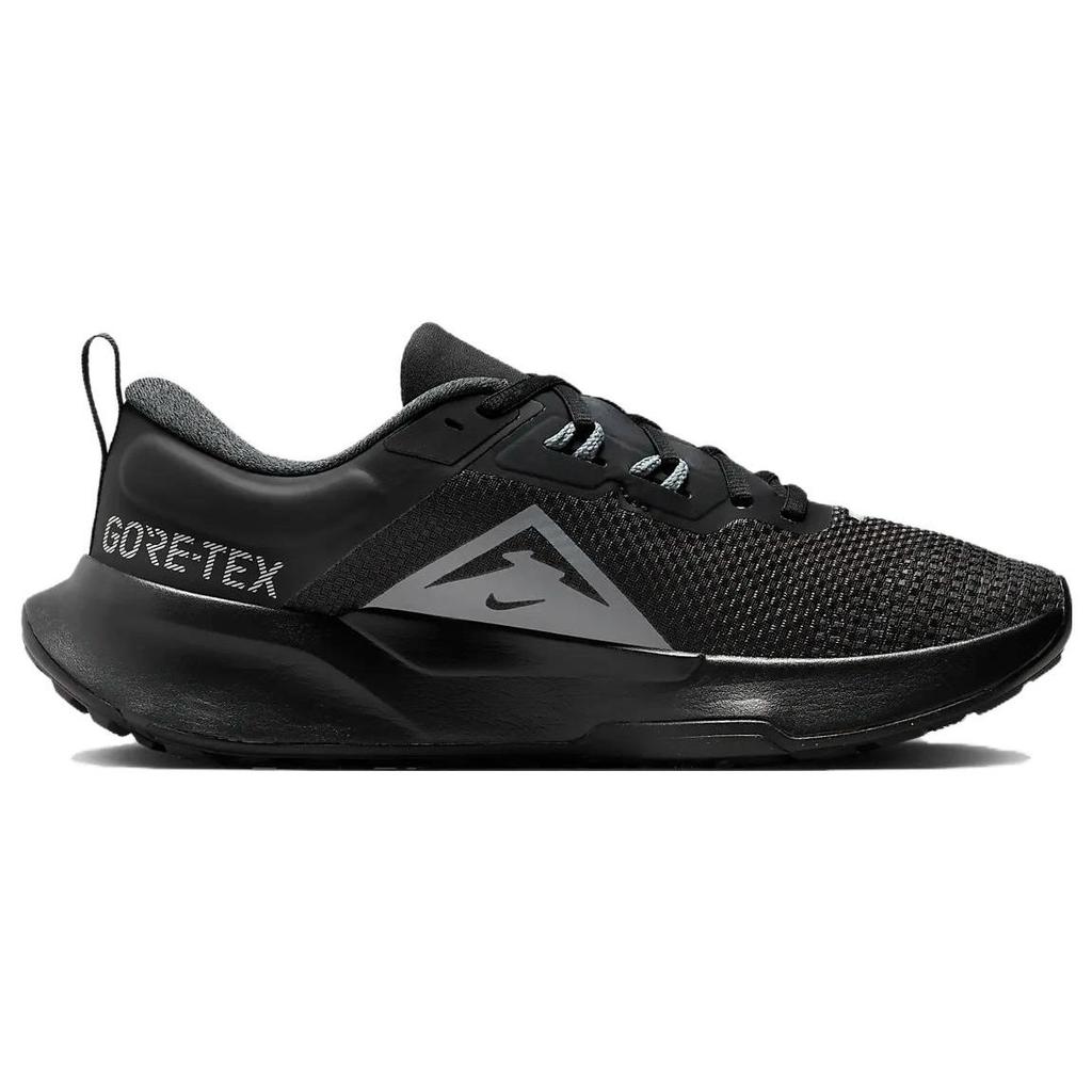 Nike Juniper Trail 2 GORE-TEX Black Cool Grey Men Sneakers Anthracite FB2067-001