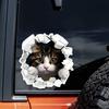2 Pieces 12x12cm Realistic 3D Effect Peeking Cat Car Bumper Window Sticker for Truck