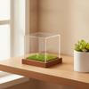 Golf Ball Showcase with Grass-Style Interior Dust Protection Acrylic
