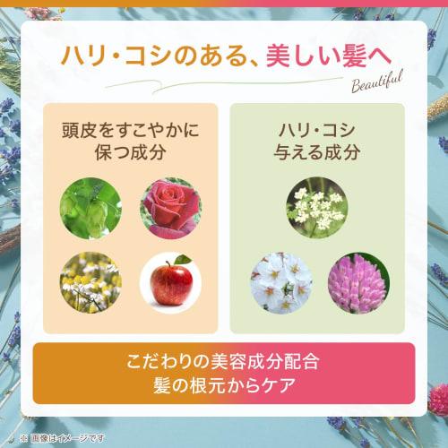 Haru Kurokami Shampoo Set (400ml / Citrus & Lavender Blend / 1 Bottle Each) Amino Acid-based Scalp Shampoo Scalp Care Sensitive Skin Non-silicone Sham