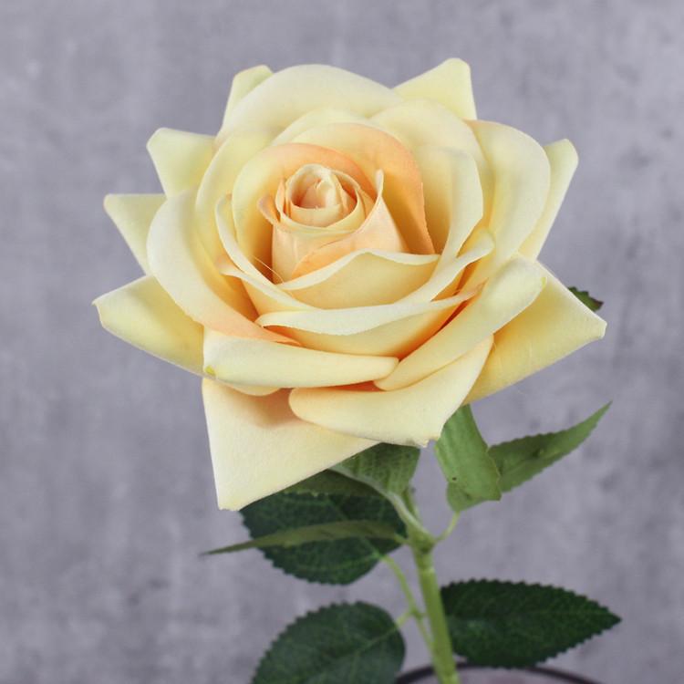 Sametově červená růžová růže Větve Simulační květiny Bar Kavárna Dekorace Umělá květina Falešná růže el Stolní dekorace Rostlina