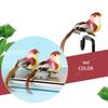 12pcs Small Fake Birds for Crafts,   Bird Figures Cute Animal Model  Ature Bird Figurines Tiny Bird Figurines Tree Binding Artificial Bird Decor