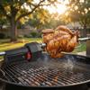 Système à Vitesse Variable Moteur de Gril Électrique Moteur de Gril Barbecue Électrique Extérieur Barbecues de Jardin