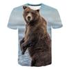 Men Fashion Short Sleeve 3d Print T Shirt Round Neck Summer Plus Size Tees