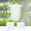 50 Net Pots for Planters, Slotted Planting Baskets, Propagation Garden Greenhouses