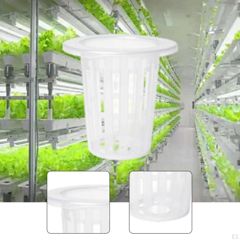 50 Net Pots for Planters, Slotted Planting Baskets, Propagation Garden Greenhouses