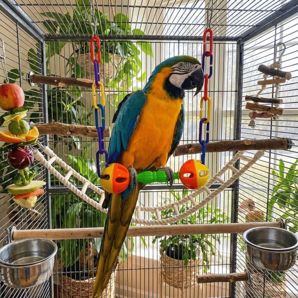 Colorful Bird Hanging Swing Wear-Resistant with Hooks Swing Stand Plastic with Bells Bird Interactive Swing Bird Cage Decoration