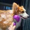 Multifunctional Grooming Brush For Pet Deep Cleaning Massage Comb Nonslip Handle Easyly Clean Various Size