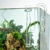 Clear Glass Lily Pipe Outflow And Skimmer Inflow With Suction Cup 13Mm 17Mm For Aquarium Planted Fish Tank Aquatic Filtration System