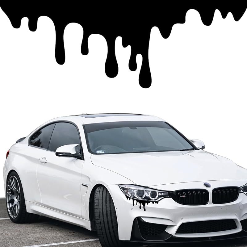 Funny Car Sticker, Waterproof Vinyl Anime Decal, Computer Truck Sports Car Motorcycle Decoration (Black)