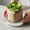 Plastic Flower Pot Tray With Pet Material And Dustproof Design For Garden And Home Use