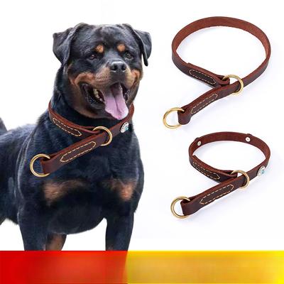 Dog Collar P Leash Pet Neck Cover Medium Sized Dog Dog Chain Training Rope Training Dog Control Chain